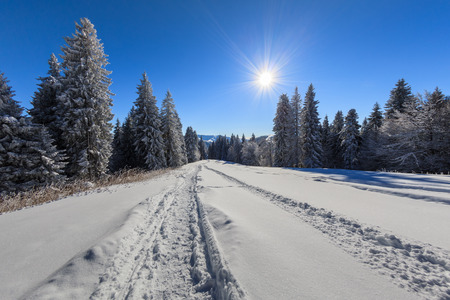 mountain landscape in winter. Bucegi Mountains, Romaniaの写真素材