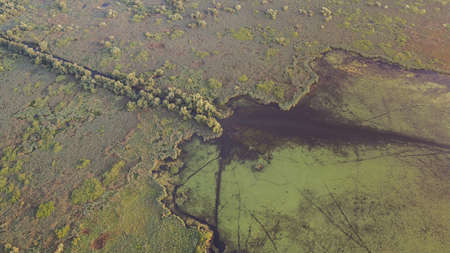 aerial view of Danube Delta, Romania, Europe