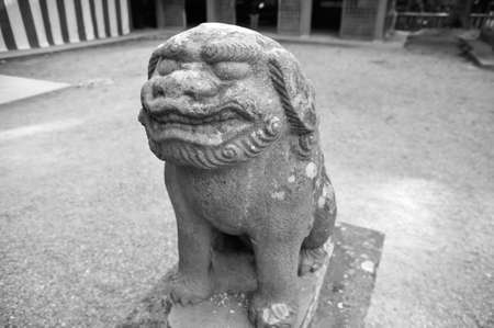 komainuの写真素材