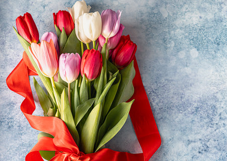 Bouquet of colorful tulips with red ribbon on blue concrete background. Beautiful tulips for Mother's Day or Easter. Selective focus.の写真素材