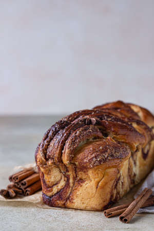 Babka or brioche bread with cinnamon and brown sugar. Homemade pastry for breakfast. Selective...