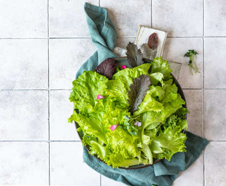 Green salad made of green leaves mix and micro green. Variety of healthy fresh harvested eatable greens. Raw food, detox diet concept. top view.の写真素材