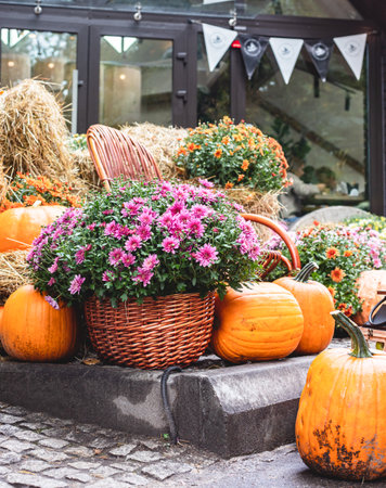 Autumn decorations near a street cafe for Halloween, Thanksgiving, fall season. Composition with pumpkin, chrysanthemum and haystack. autumn still life. Cozy atmosphere.の写真素材