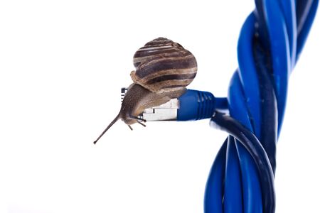 Snails moving on twisted lan cablesの写真素材