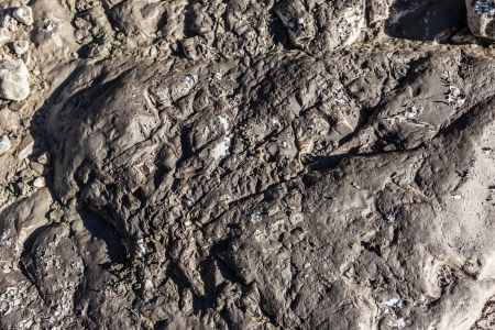 a lot of pebbled covered with dryed mud