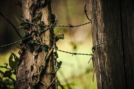 an old barbed wire making swirls around two wooden polesの写真素材