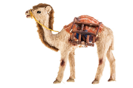a dromedary puppet isolated over a white backgroundの写真素材
