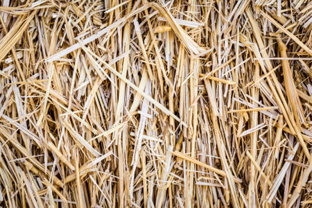 macro shot of a hay bale or an archery targetの写真素材