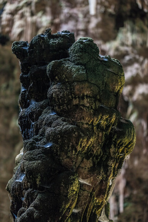 The Castellana Caves are a remarkable karst cave system located in the municipality of Castellana Grotte, Italyの写真素材