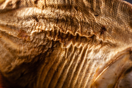 close up shot of the wrinkled skin of a dried fishの写真素材