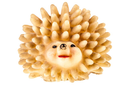 a hedgehog shaped squeaky toy isolated over a pure white backgroundの写真素材