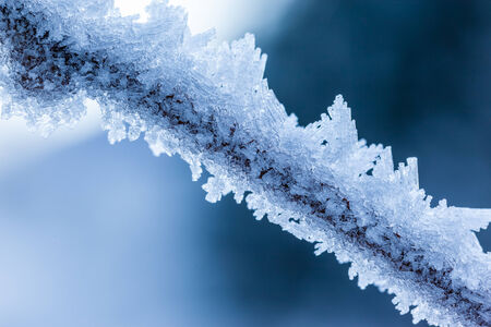 a small twig covered with hoarfrost ice crystals in winterの写真素材