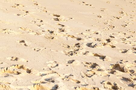 detail of the sand of the beach on a tropical thai island