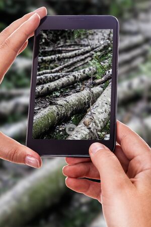 a woman using a smart phone to take a photo of some fallen tree trunks in the woodsの写真素材
