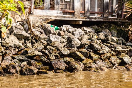 a big lizard or varanus chilling on the rocks on the riverside in Thailandの写真素材