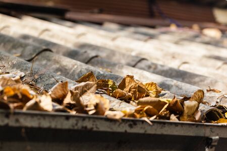 a lot of dead leaves clogging the gutter on a roof in autumnの写真素材