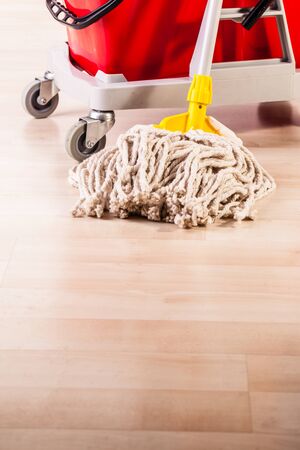 a professional mop bucket cart on a light wooden floorの写真素材