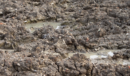 Soil texture backgroundの写真素材