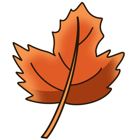 One simple orange maple leaf on a transparent background.のイラスト素材