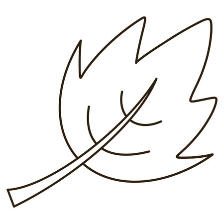 Maple leaf outline on transparent backgroundのイラスト素材