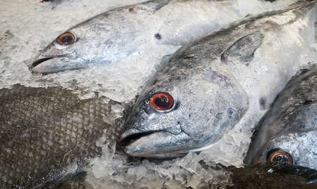 Close-up of fresh fish on crushed ice for sale at the seafood market. Fresh fish on ice for cooking.