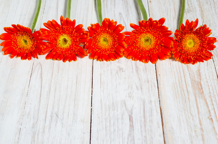 orange colorful gerbera flowers on the wooden tableの写真素材