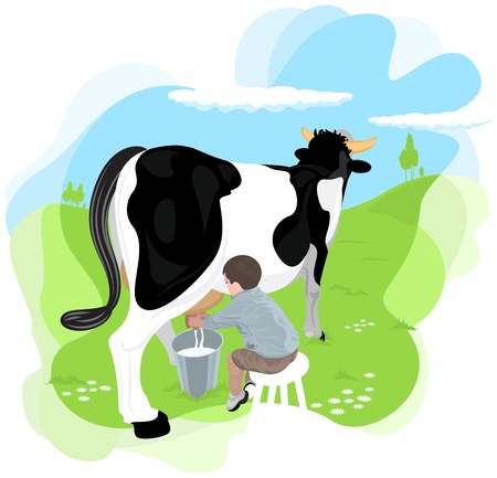 A boy milking a cow in the meadows of the farm school  It is divided into layers perfectly editable のイラスト素材