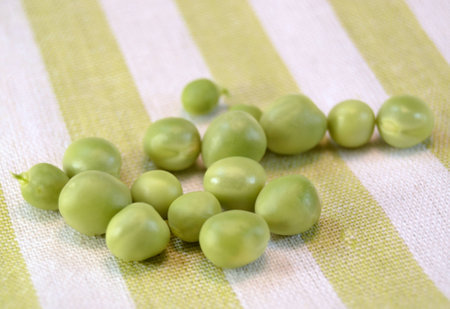 Fresh peas in their pods on a table,の写真素材