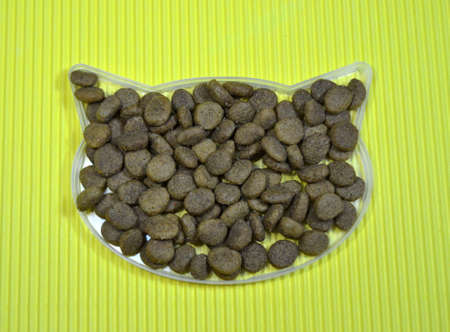 Special cat food on plate with cat head shape and yellow backgroundの写真素材