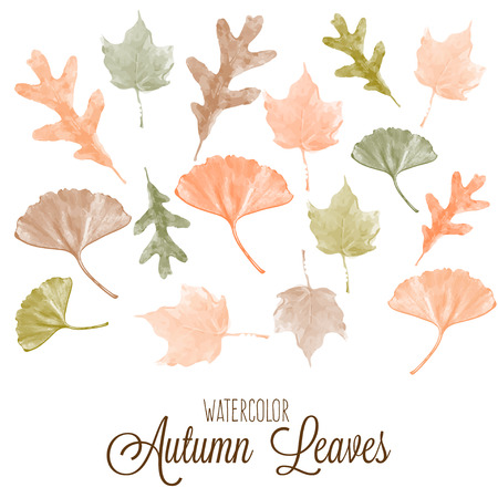 Set of watercolor colorful autumn leavesのイラスト素材