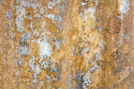 Texture - surface with cracked paint