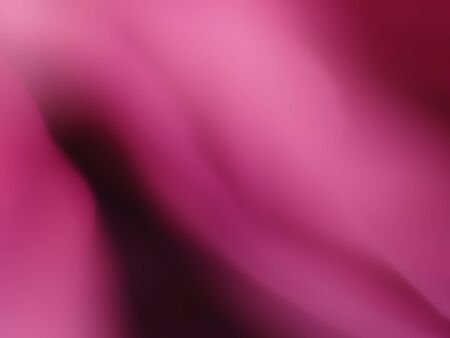 Macro flowerの写真素材