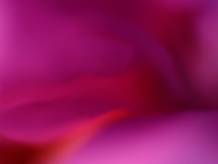 Macro flowerの写真素材