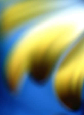 Macro flowerの写真素材