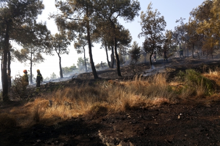 THESSALONIKI, GREECE - AUGUST 26: Fire department in action at a Seich Sou forest low scale fire on August 26,2011 in Thessaloniki, Greece.のeditorial素材