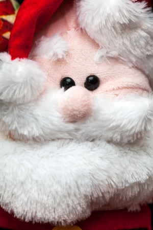 Doll of Santa Claus on Christmas treeの写真素材