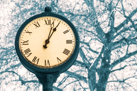 A municipal street clock in a town square photographed against a tree branches