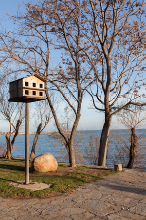 Wooden dovecot in a park  Bird nesting boxの写真素材