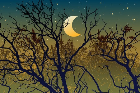 Spooky grunge forest illustration for halloween. Vector illustration Eps 10のイラスト素材
