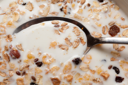 Cereals in a milk. Breakfast conceptの写真素材