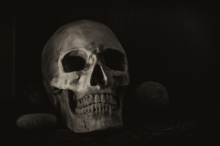 Still life photography with human skullの写真素材