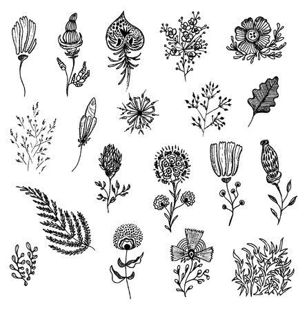 Set of sketches and line doodles - hand drawn design elements.のイラスト素材