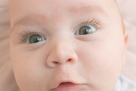 Portrait of a five-month happy boy close upの写真素材