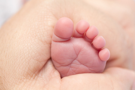 Baby feet in father's handsの写真素材
