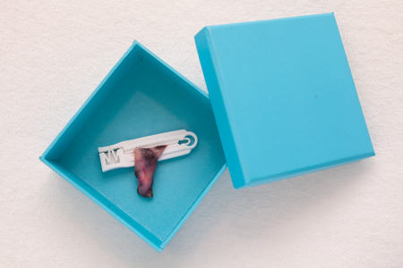 Umbilical cord in blue box on white backgroundの写真素材