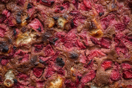 Tart with fruit of the forestの写真素材