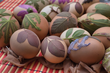Preparing eggs for dyeing. I wrapped the eggs in pantyhose together with various plant leavesの写真素材