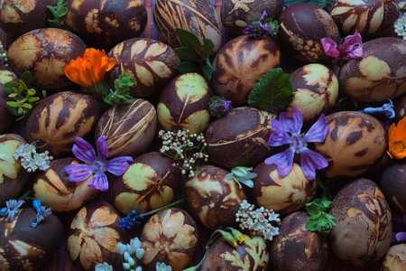 Ready-dyed eggs with natural colors obtained from various plants. No dyes and chemicals