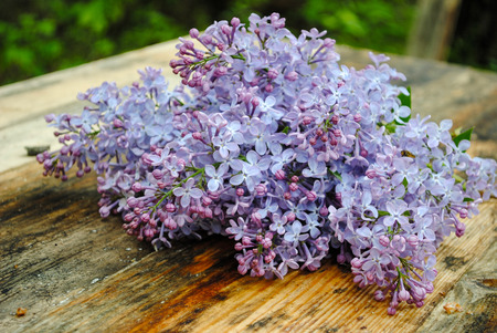 lilac flowers on wooden tableの写真素材