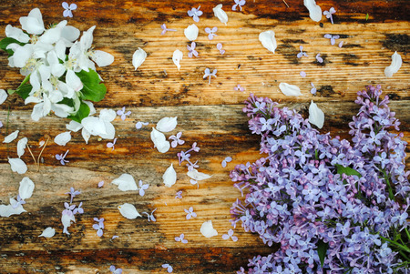 lilac and apple flowers on wooden tableの写真素材